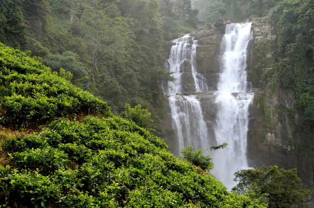 Murchison Falls National Park