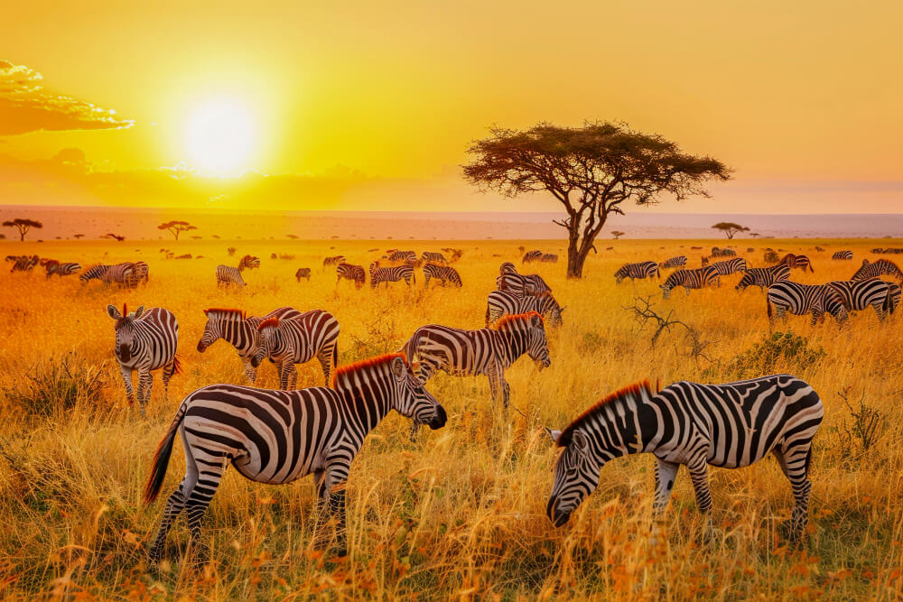 Family Destinations East Africa