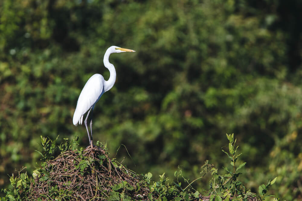 Mahale Mountains National Park