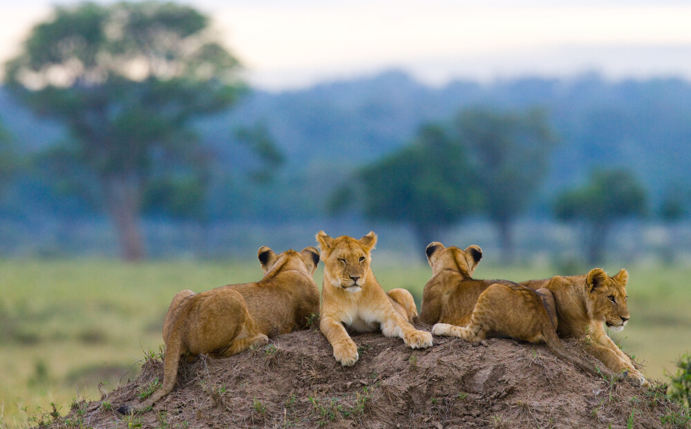 Tarangire National Park