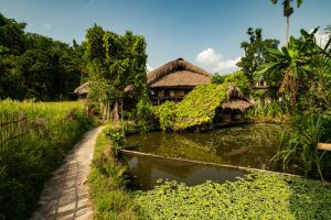 A Local’s Guide to the Best Accommodation Near Bwindi Impenetrable National Park